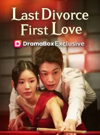 My Last Divorce, My First LoveMini Series