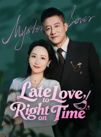 Late to Love, Right on TimeMini Series