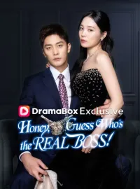 Honey, Guess Who’s the REAL BOSSMini Series
