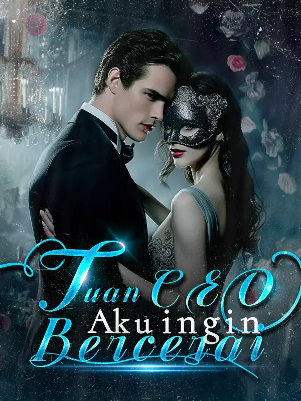 Sampul Novel Tuan CEO, Aku ingin Bercerai
