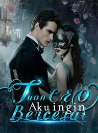 Sampul Novel Tuan CEO, Aku ingin Bercerai