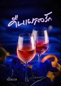 คืนเผลอรัก