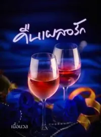 คืนเผลอรัก