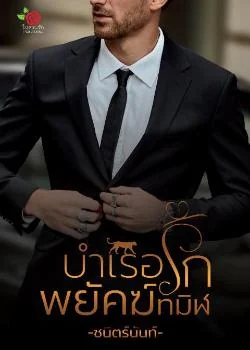 หน้าปกนวนิยาย บำเรอรักพยัคฆ์ทมิฬ