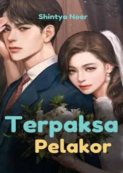 Sampul Novel Terpaksa Pelakor