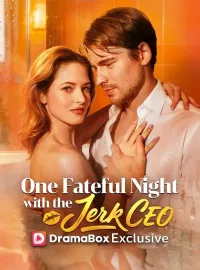 One Fateful Night With The Jerk CEOMini Series