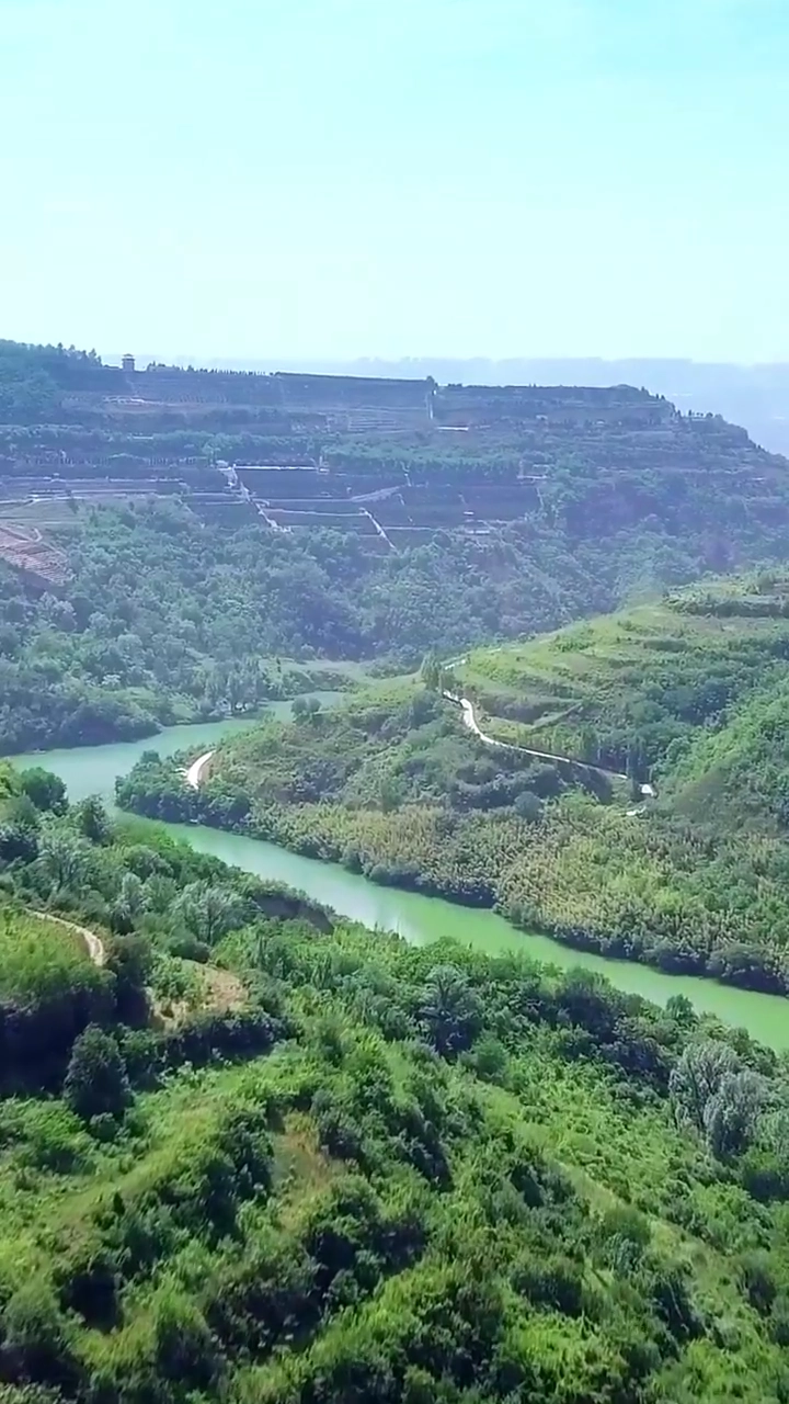 The Untamed HealerPhoto