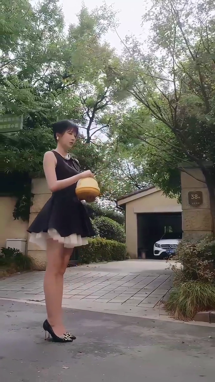 The Veterinarian With a Secret LanguagePhoto