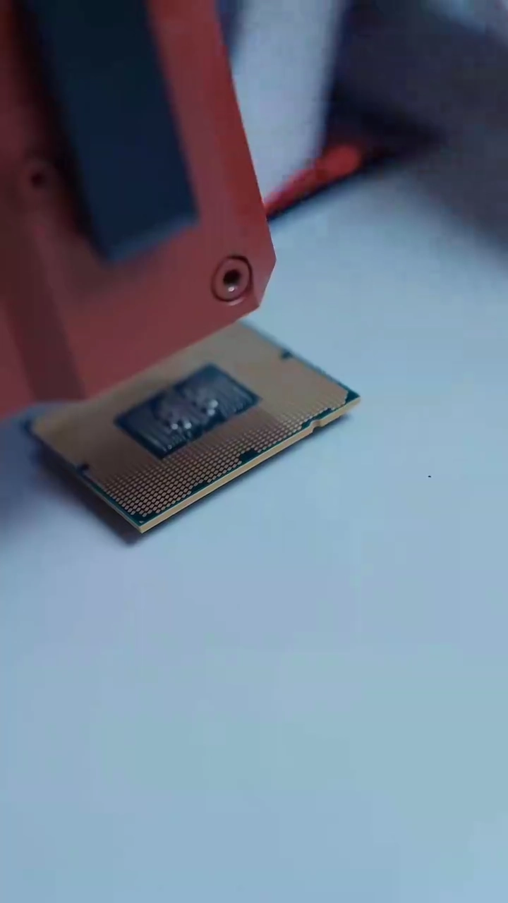 The Prodigal Daughter's ReturnPhoto