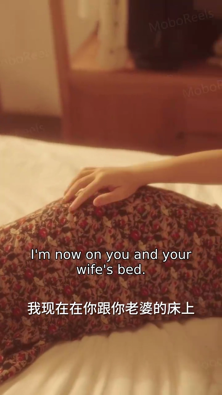 The Revenge Plan of the DisguisedPhoto