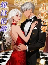 奇妙な愛: 嫁は宿敵 の小説カバー
