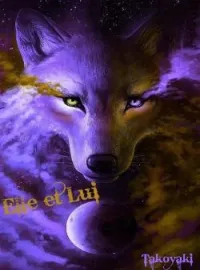 Couverture du roman Elle et lui