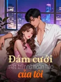Bìa tiểu thuyết Đám cưới mất trí nhớ hoàn hảo của tôi