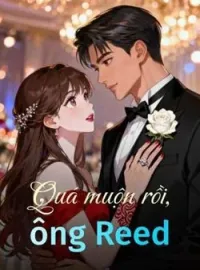 Bìa tiểu thuyết Quá muộn rồi, ông Reed