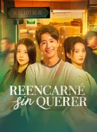 Reencarné sin quererMiniseries