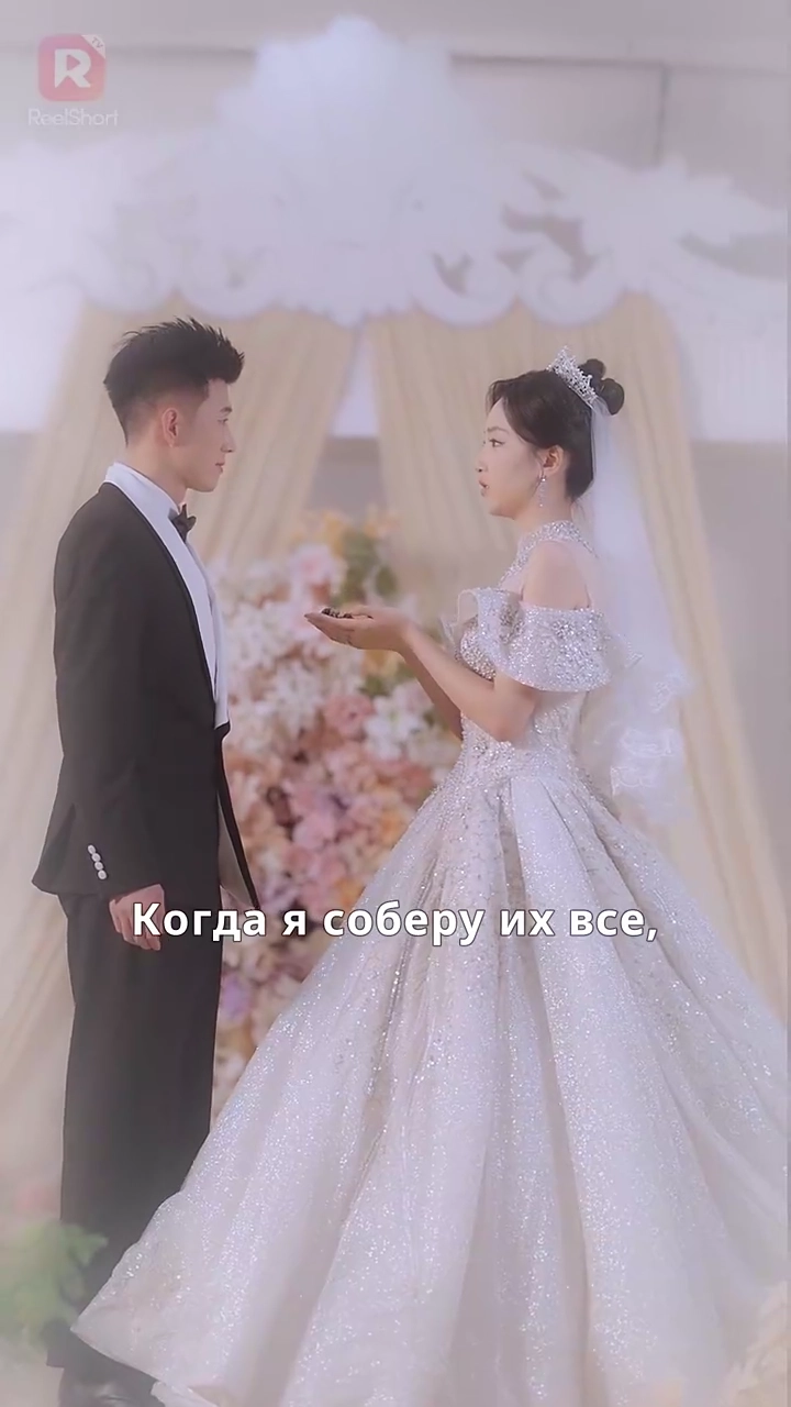 主婦の弁護士人生写真