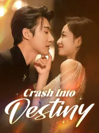 Crash Into DestinyMini Series