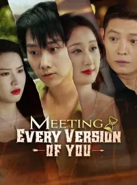 Meeting Every Version of YouMini Series