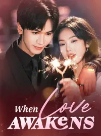 When Love Awakens