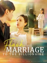 Flash Marriage to the BillionaireMini Series