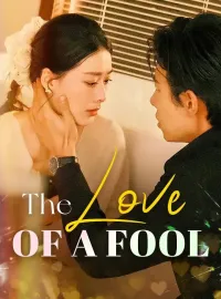 The Love Of A FoolMini Series