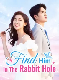 Find Him In The Rabbit HoleMini Series