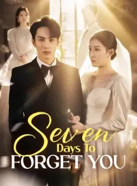 Seven Days To Forget YouMini Series