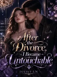 After the divorce, I became untouchable. Novel Cover