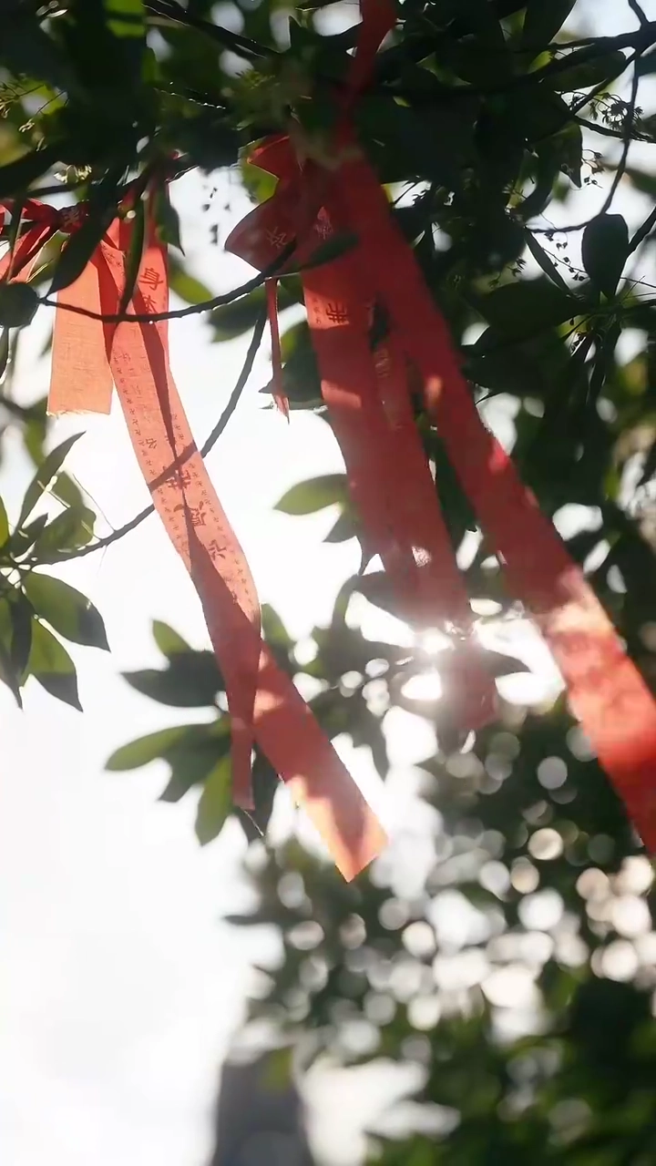 ใจเป็นของนางรูปภาพ