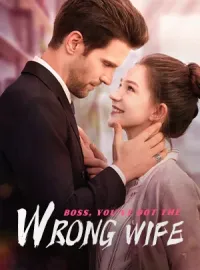 Boss, You've Got The Wrong WifeMini Series
