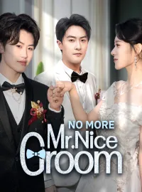 No More Mr. Nice GroomMini Series
