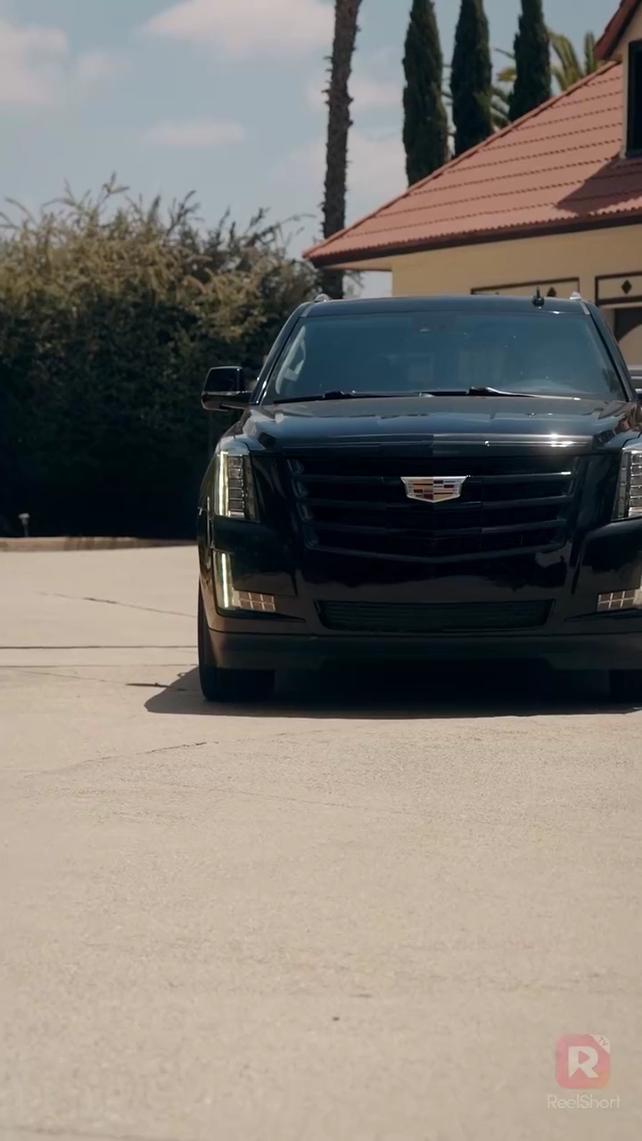 逃げた花嫁と天才CEO写真