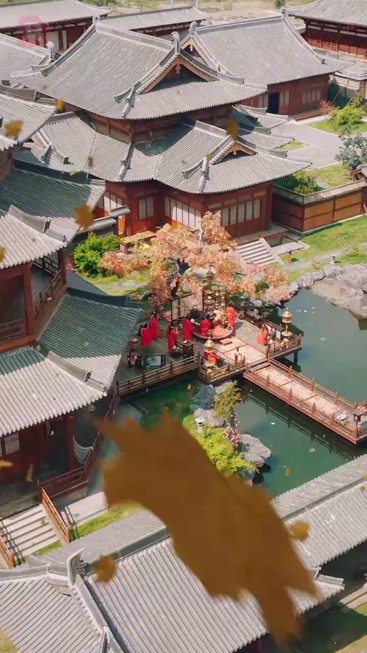 濡れ衣の姫の逆襲写真