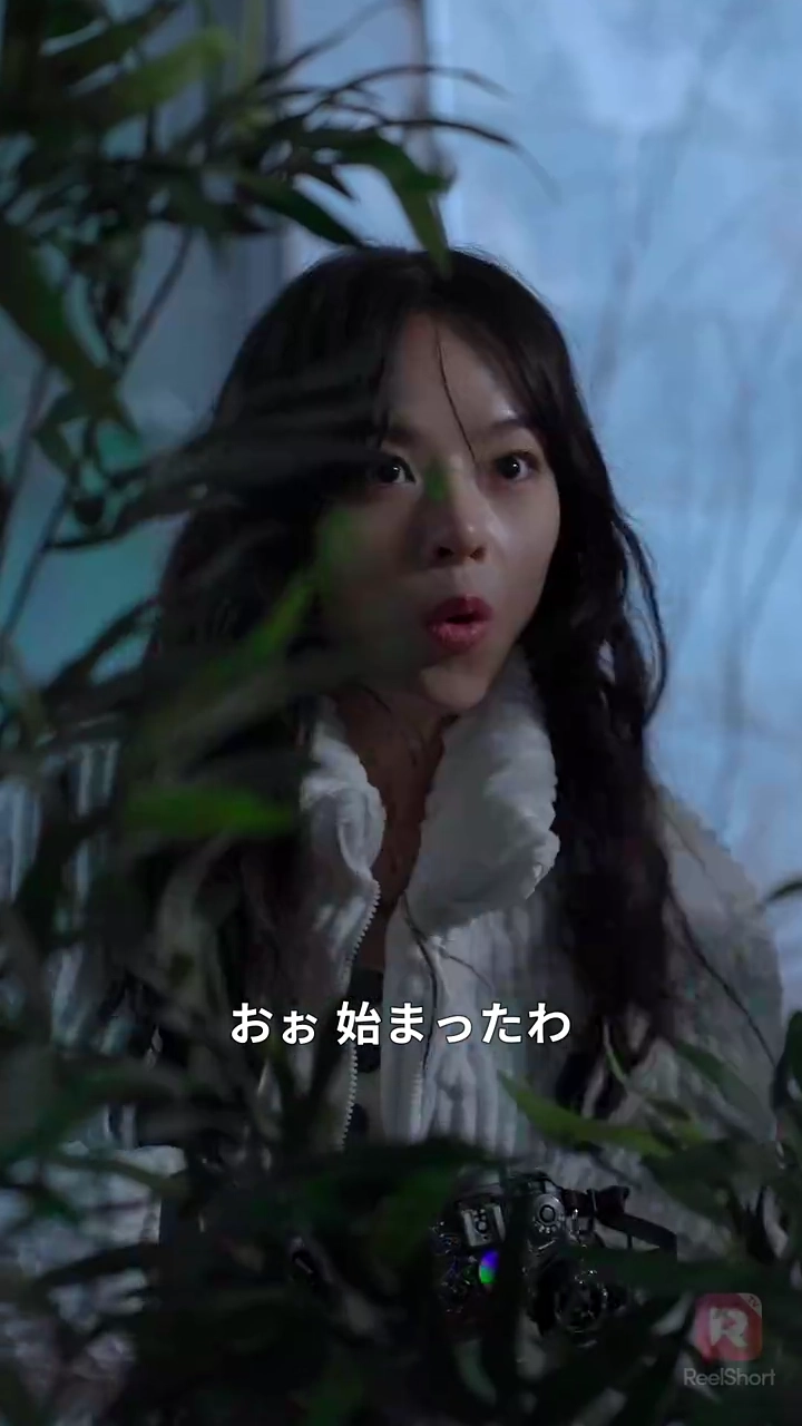 不倫パパラッチ写真