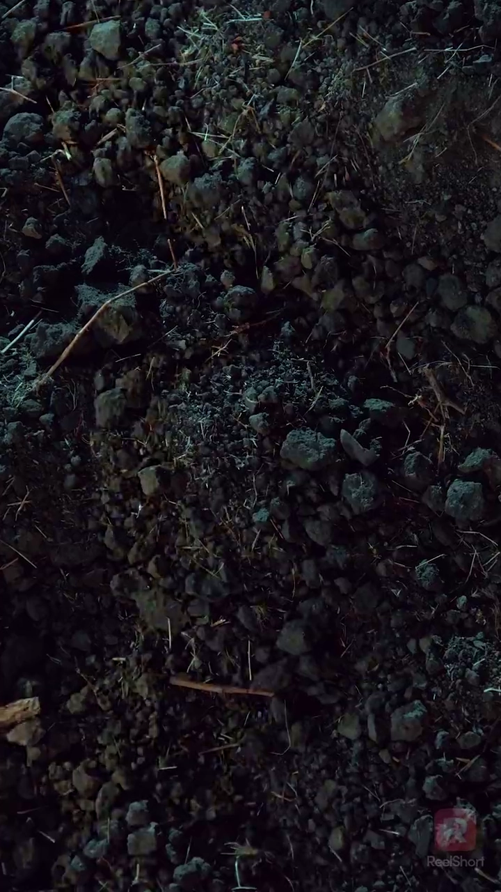 なぜ騙した、我がままな我が恋人よ！写真