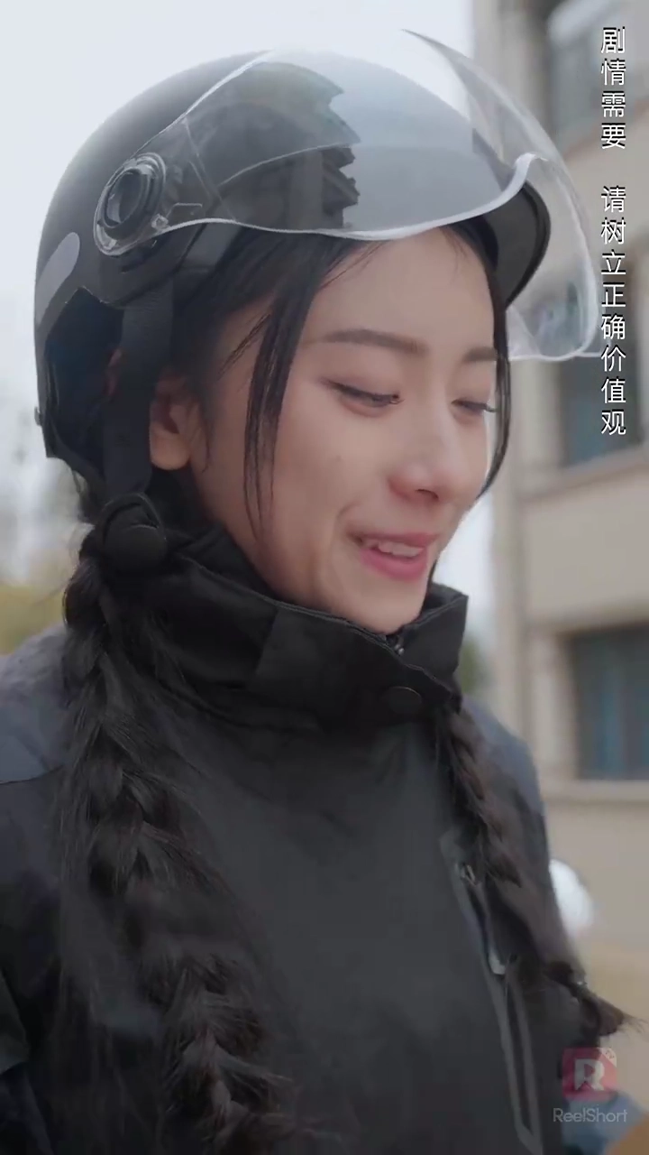 華麗なる逆襲写真