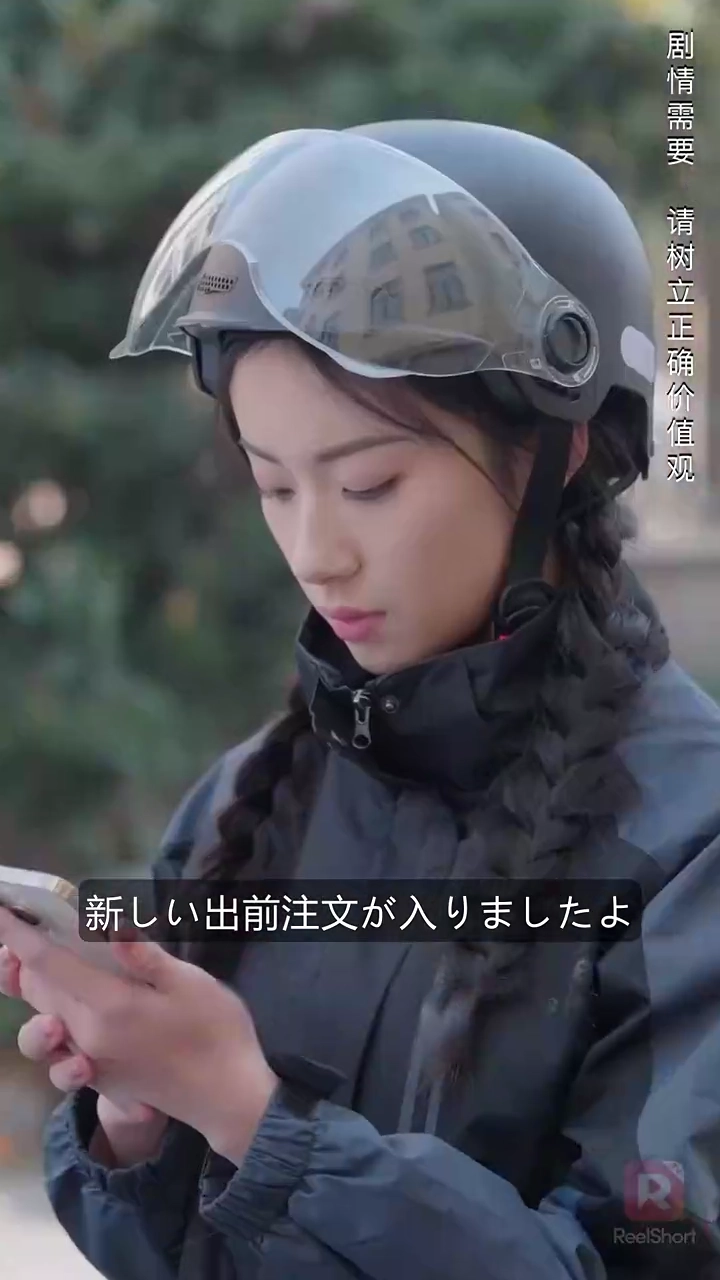 華麗なる逆襲写真