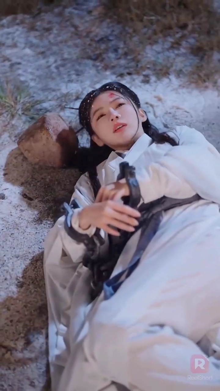 二度目の人生、 クズ夫は捨てて将軍を守る写真