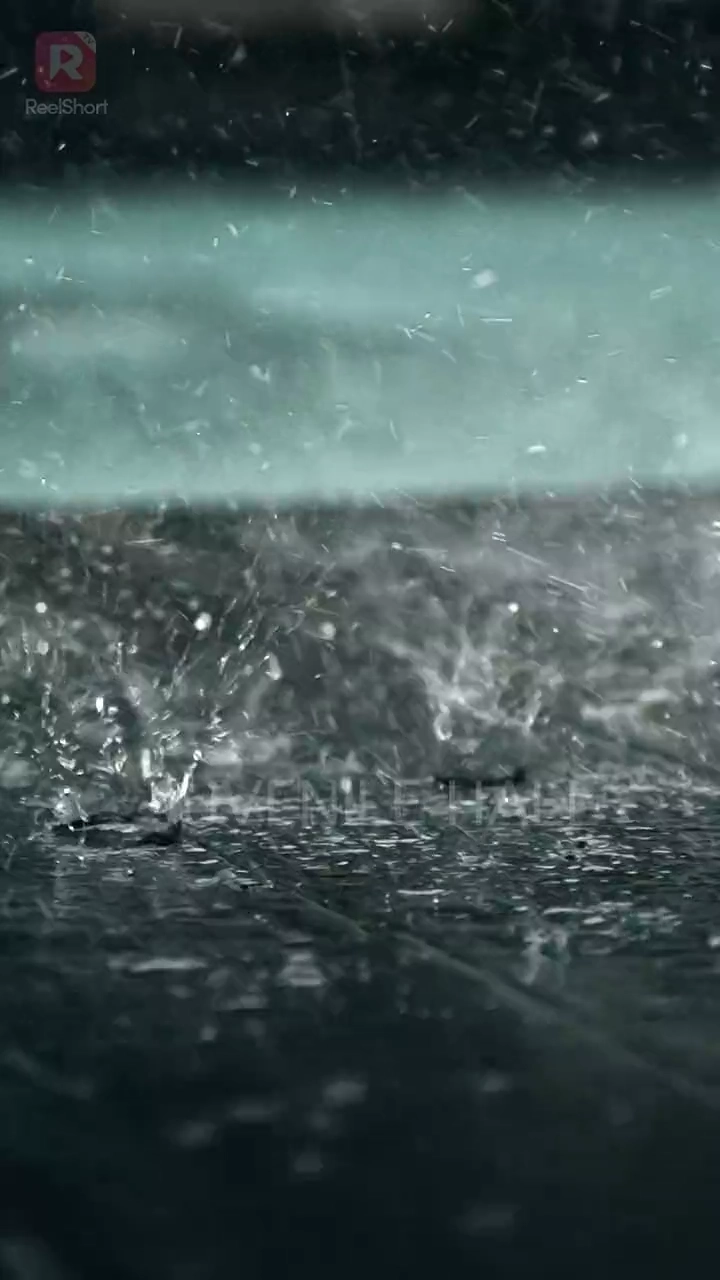 令嬢は嘘をつかない写真