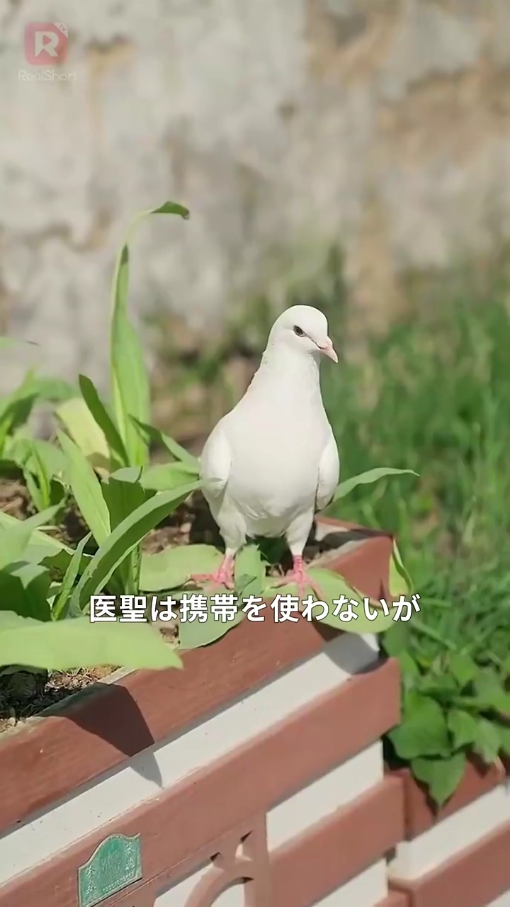 俺はただの獣医だけど写真