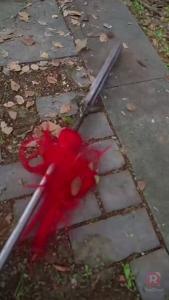 貞観の最強婿写真