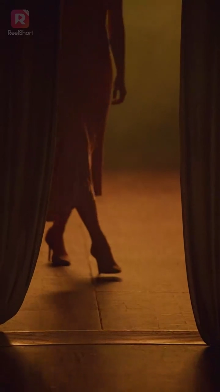 私たちは決して元に戻ることはありません写真