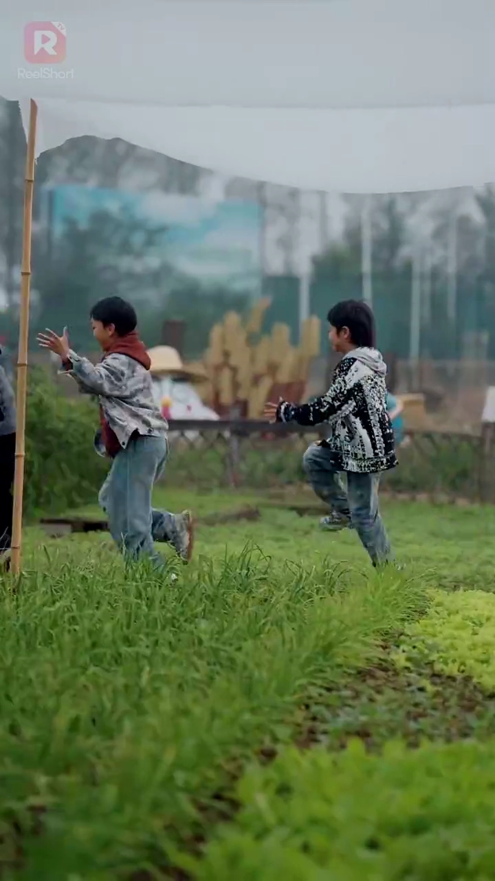 取り違えられた結婚、 笑える新婚生活写真