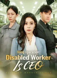 Sting Operation: Disabled Worker Is CEOMini Series