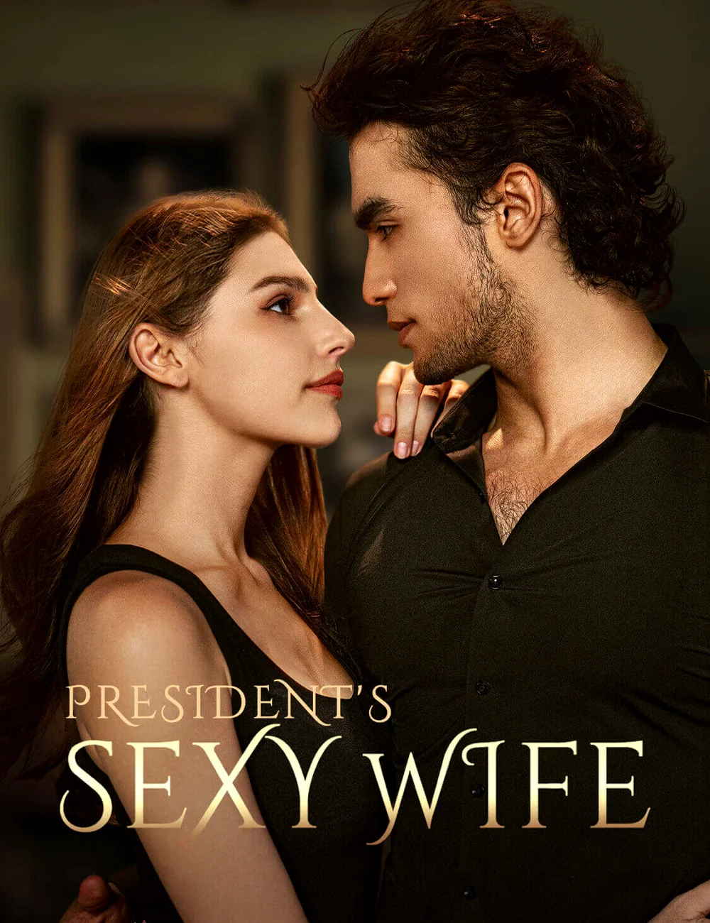President's Sexy Wife cover art