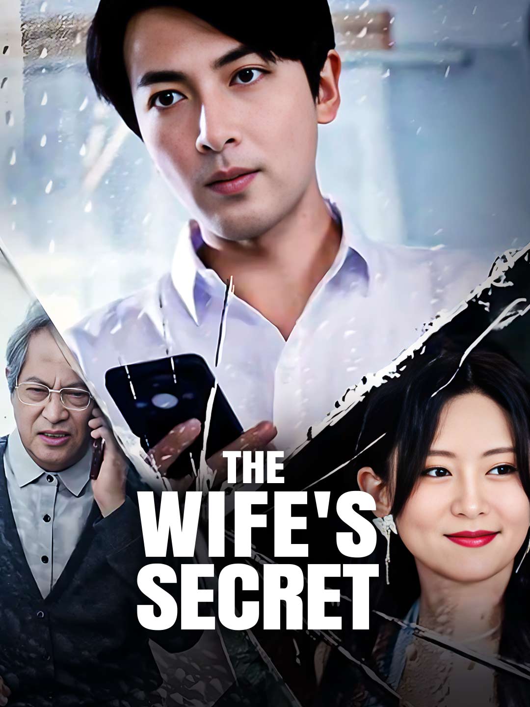 The Wife's SecretMini Series