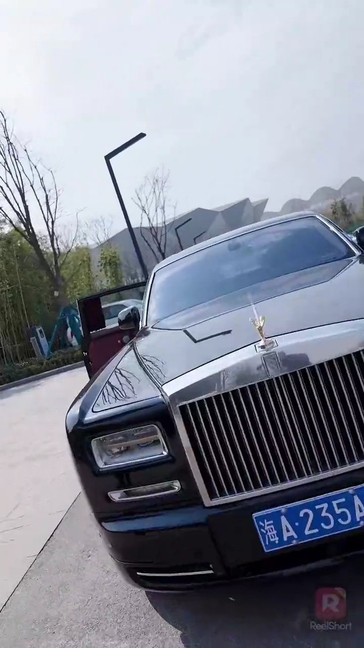 Amor por Contrato mas não apenasFoto