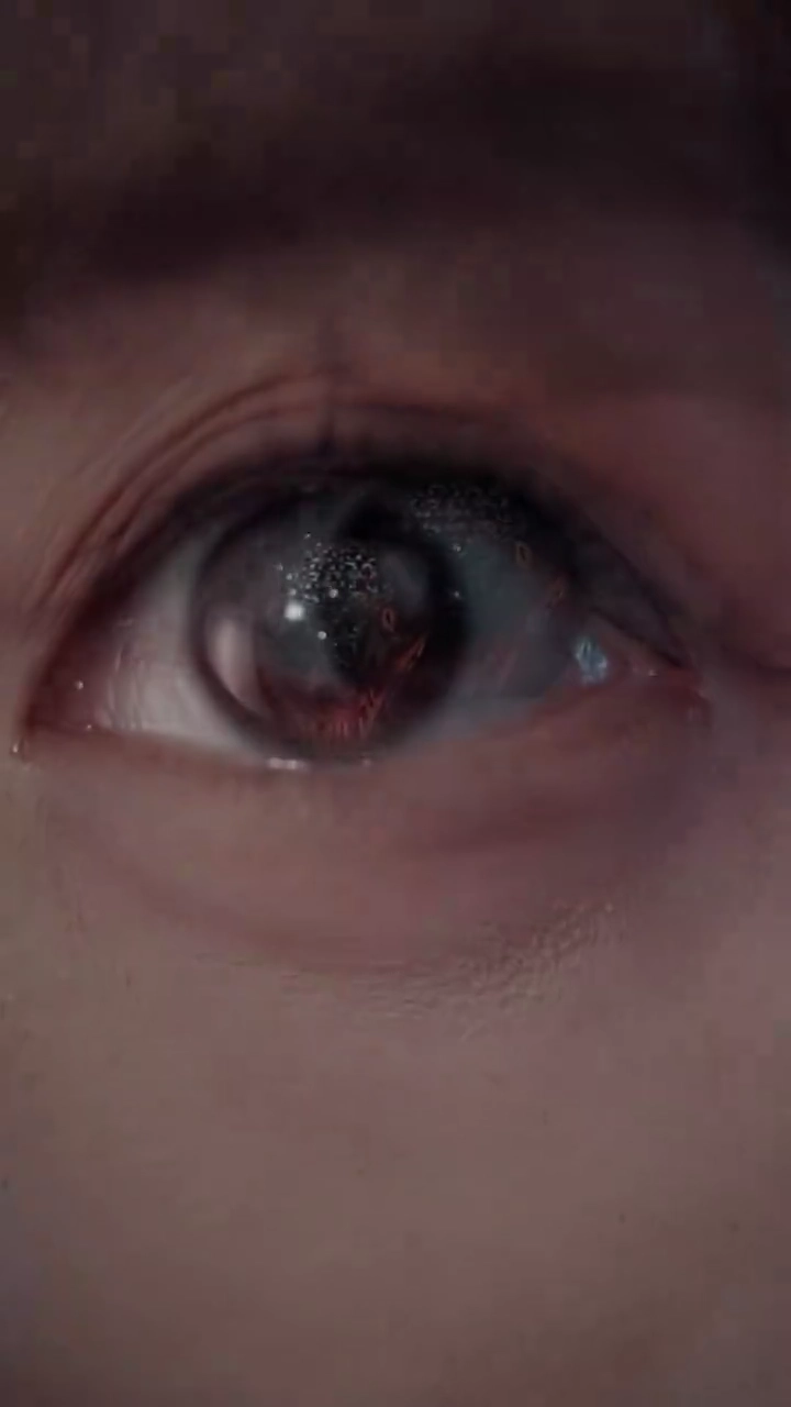 扉の向こうのヒス写真