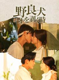 野良犬が牙を剥く時