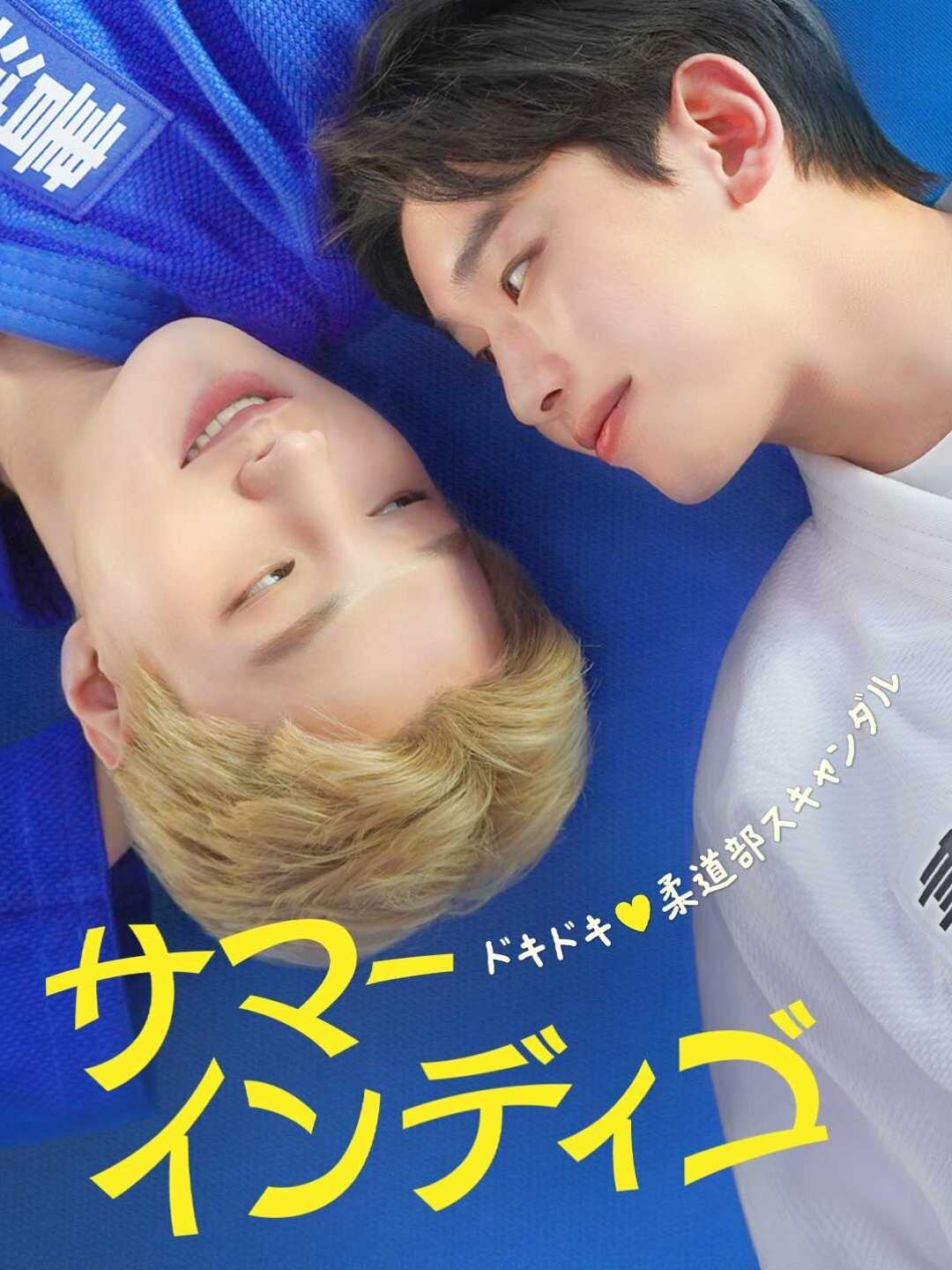 サマーインディゴミニシリーズ